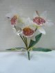 タイ製造花キット ミニカトレア