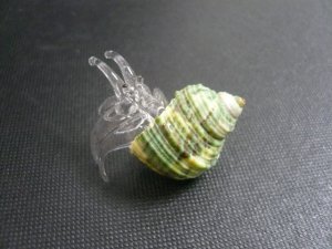 画像4: ガラス細工製品　 貝付きヤドカリ11
