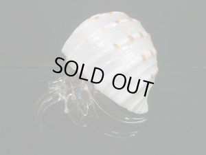 画像2: ガラス細工　 三角貝ヤドカリ大1