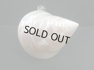 画像4: ガラス細工　 三角貝ヤドカリ特大