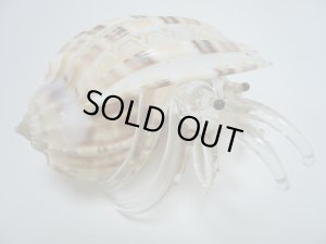 画像1: ガラス細工　 三角貝ヤドカリ大9