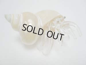 画像1: ガラス細工　 三角貝ヤドカリ大7