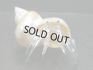 画像3: ガラス細工　 三角貝ヤドカリ大7