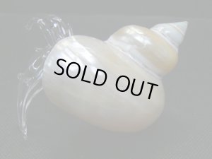 画像5: ガラス細工　 三角貝ヤドカリ大7