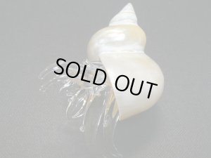 画像2: ガラス細工　 三角貝ヤドカリ大7