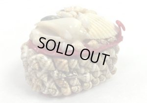 画像4: 巻貝の小物入れ 　ハート型