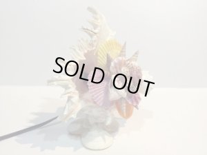 画像8: 巻貝のランプ 　　