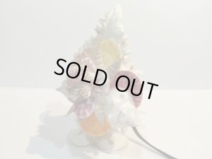 画像5: 巻貝のランプ 　　