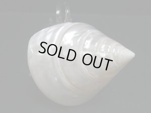 画像8: ガラス細工　 三角貝ヤドカリ大4