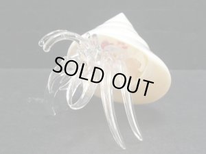 画像4: ガラス細工　 三角貝ヤドカリ大4