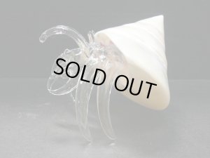 画像5: ガラス細工　 三角貝ヤドカリ大4