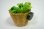 画像5: マグネット　カゴ野菜