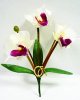 タイ製造花キット  ミニデンファレ 白 