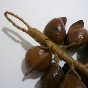 画像4: つるし飾り　ジャックフルーツの種 