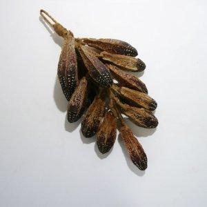 画像1: つるし飾り　マホガニーの種 