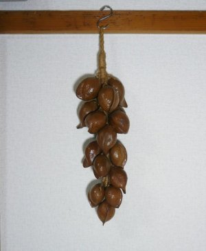 画像3: つるし飾り　ジャックフルーツの種 