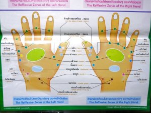画像3: 手のつぼと臓器　