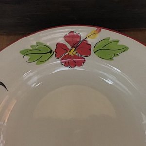 画像5: にわとり柄 深皿丸21cm暗め (ハイビスカス) 