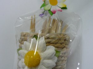 画像5: マグネットケース付き爪楊枝