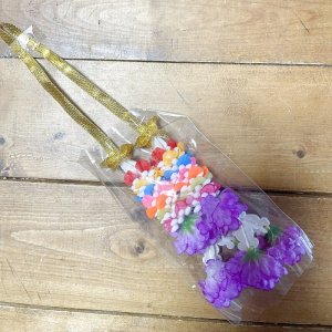 画像1: ミニマーライ2連　レインボー（12cm）