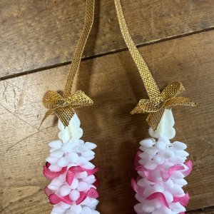 画像4: ミニマーライ2連　ピンク（25cm）