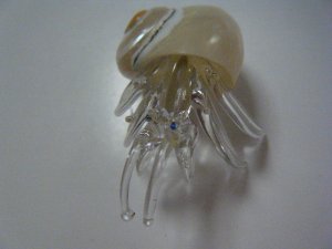 画像2: ガラス細工製品　 貝付きヤドカリ10
