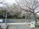 画像: <a href="http://blog.livedoor.jp/chaidee2/">桜開花と共に大忙し！</a>