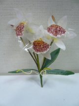 画像: タイ製造花キット ミニカトレア