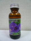 画像4: ゼラニュウム(30ml)
