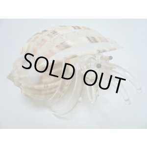 画像: ガラス細工　 三角貝ヤドカリ大9