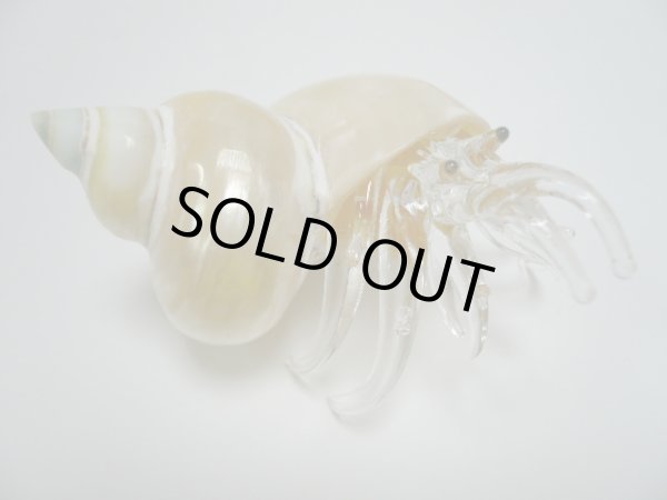 画像1: ガラス細工　 三角貝ヤドカリ大7