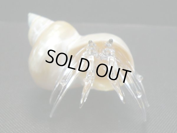 画像3: ガラス細工　 三角貝ヤドカリ大7