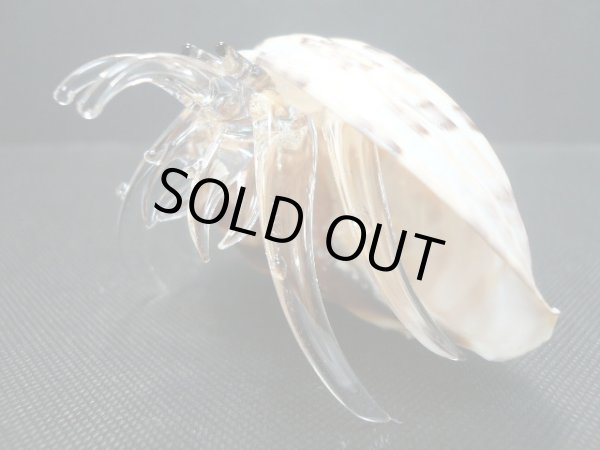 画像5: ガラス細工　 三角貝ヤドカリ大9