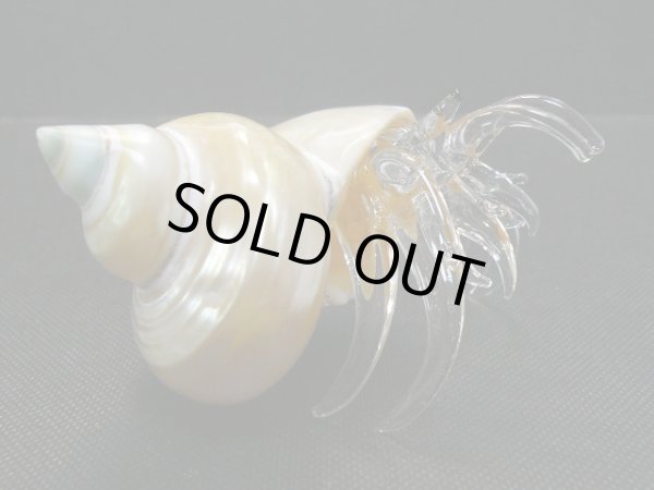 画像4: ガラス細工　 三角貝ヤドカリ大7