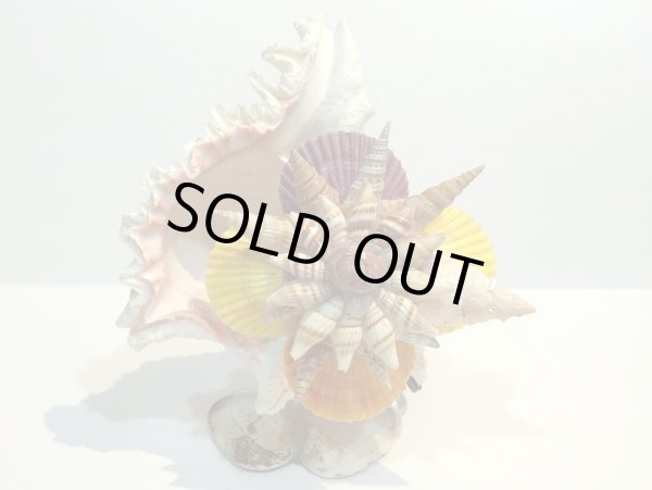 画像3: 巻貝のランプ 　　