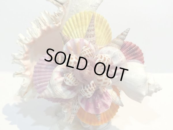 画像2: 巻貝のランプ 　　