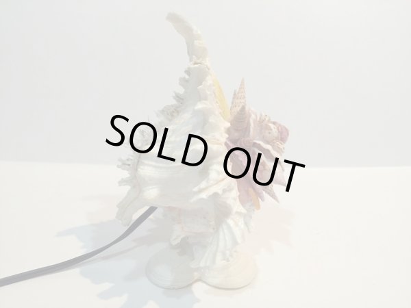 画像7: 巻貝のランプ 　　