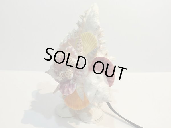 画像5: 巻貝のランプ 　　