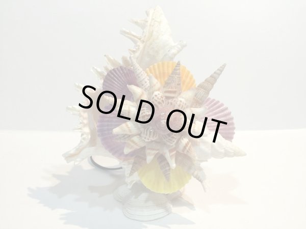 画像4: 巻貝のランプ 　　