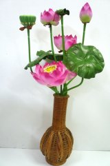 画像: 蓮セット（ピンク）丈50cm