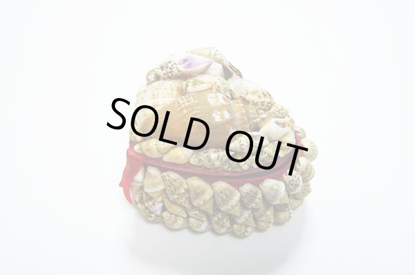 画像6: 巻貝の小物入れ 　ハート型