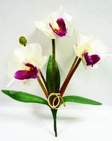 画像: タイ製造花キット  ミニデンファレ 白 