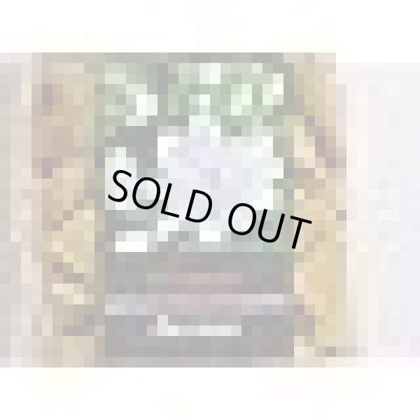 画像2: ジャスミン