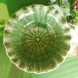 画像3: 蓮の葉 ボール皿16cm