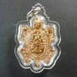 画像1: プラクルアン 75