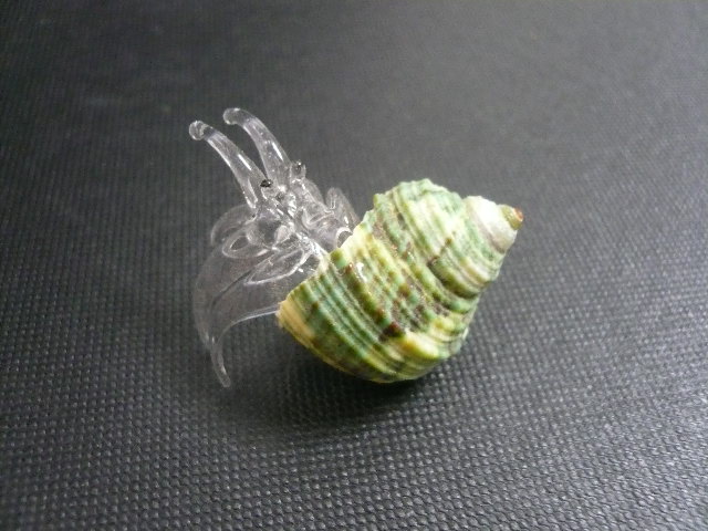 画像4: ガラス細工製品　 貝付きヤドカリ11