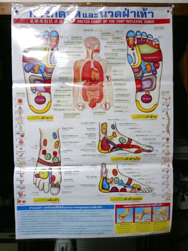 画像1: 足つぼマップ　　