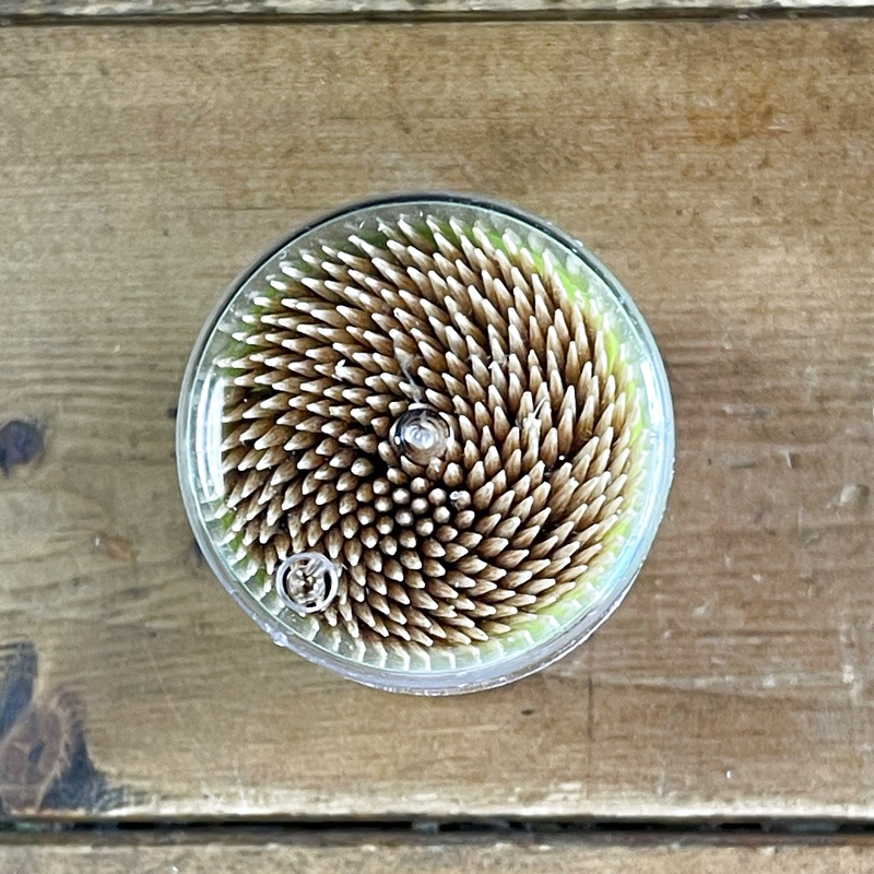 画像3: 爪楊枝ケース入り　